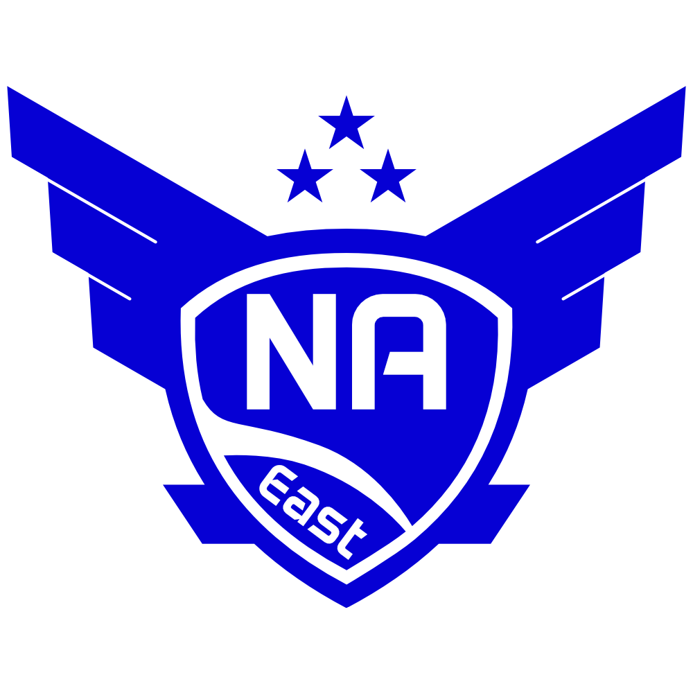 NAeLogo